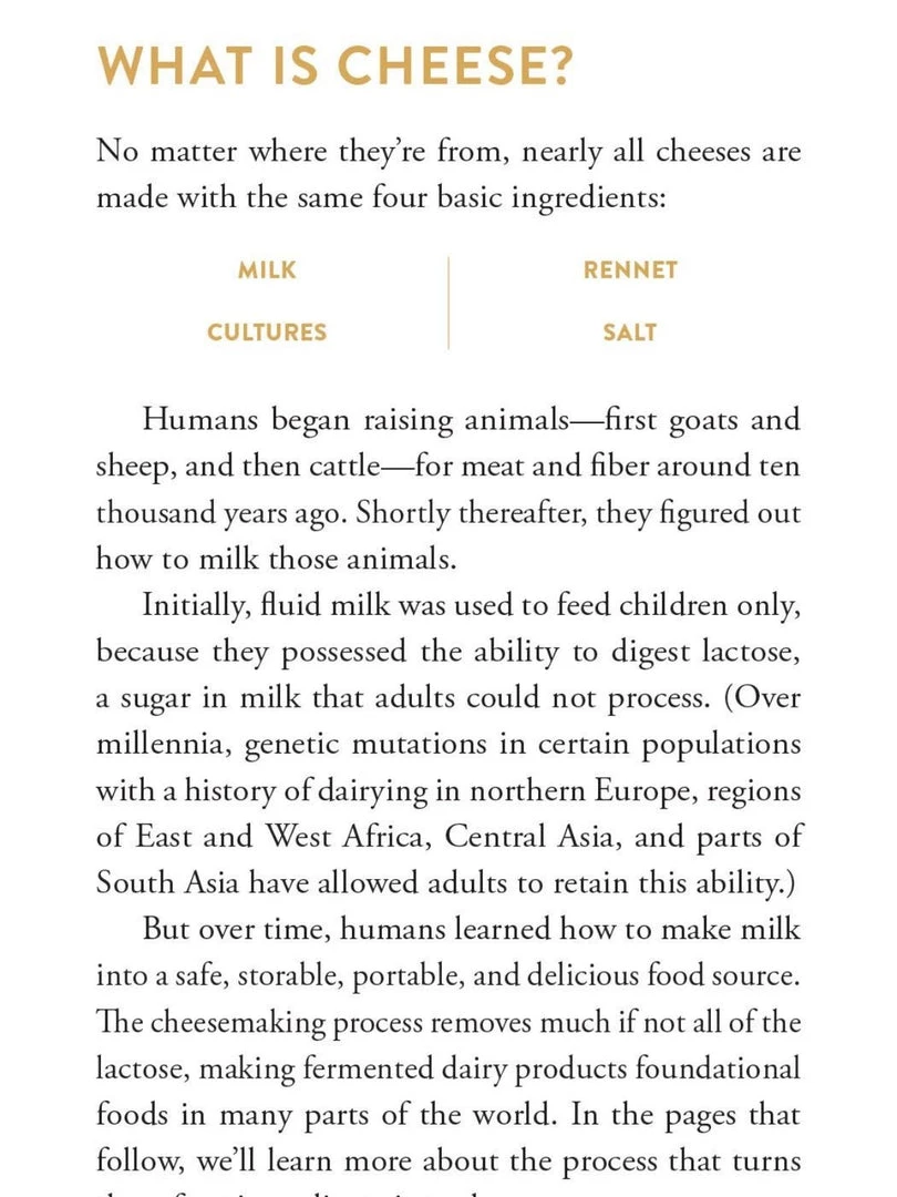 Penguin Random House That Cheese Plate Will Change Your Life 4 Penguin Random House That Cheese Plate Will Change Your Life