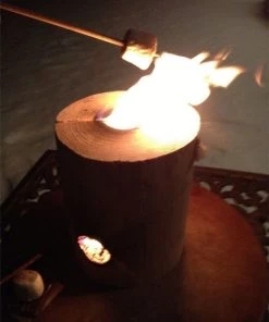 Accessories Original OneLogFire