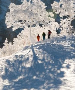 Penguin Random House The Ultimate Ski Book 11 Penguin Random House The Ultimate Ski Book