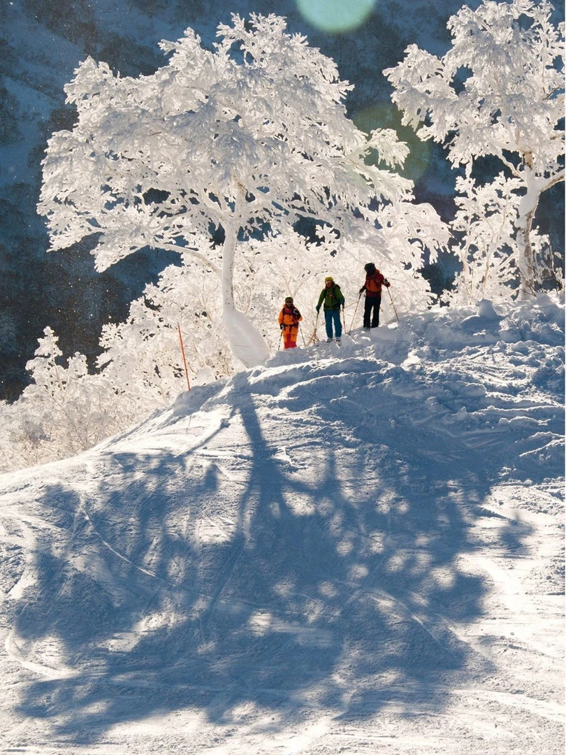 Penguin Random House The Ultimate Ski Book 7 Penguin Random House The Ultimate Ski Book