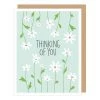 Apartment 2 Cards Daisies Thinking Of You Card 1 Apartment 2 Cards Daisies Thinking Of You Card