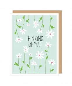 Apartment 2 Cards Daisies Thinking Of You Card