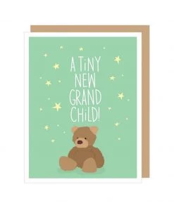 Apartment 2 Cards Home & Gift Teddy Bear New Grandparent Card