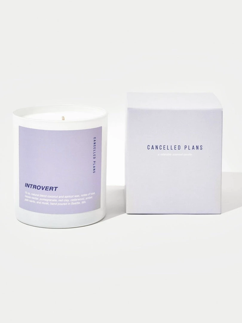 Cancelled Plans Introvert Candle 4 Cancelled Plans Introvert Candle