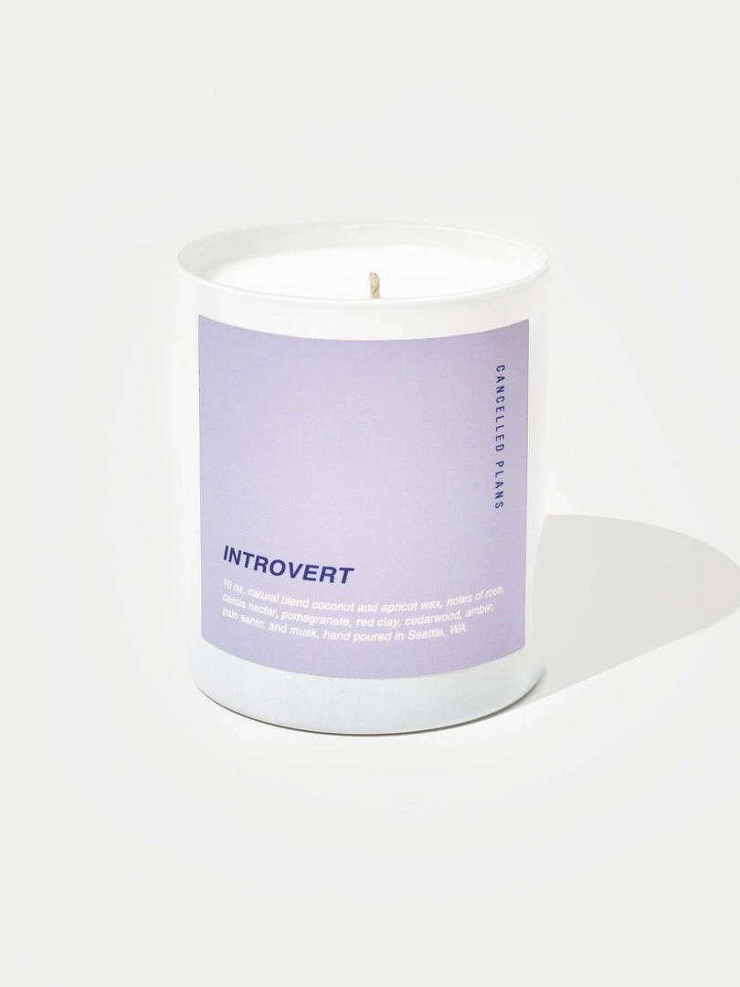 Cancelled Plans Introvert Candle 3 Cancelled Plans Introvert Candle