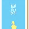 Apartment 2 Cards Home & Gift Duckling Boy New Baby Card 1 Apartment 2 Cards Home & Gift Duckling Boy New Baby Card