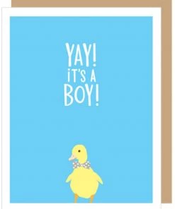 Apartment 2 Cards Home & Gift Duckling Boy New Baby Card