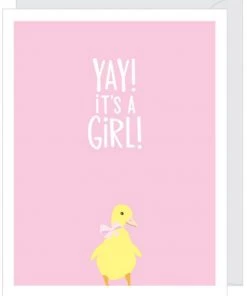 Apartment 2 Cards Duckling Girl New Baby Card Home & Gift