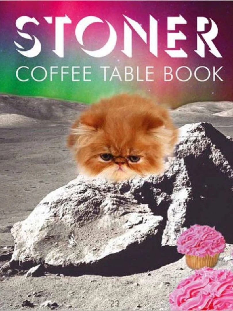 Hachette Book Group Home & Gift Stoner Coffee Table Book 3 Hachette Book Group Home & Gift Stoner Coffee Table Book