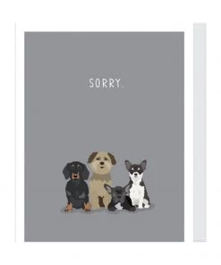Apartment 2 Cards Sorry Dogs Pet Sympathy Card Home & Gift