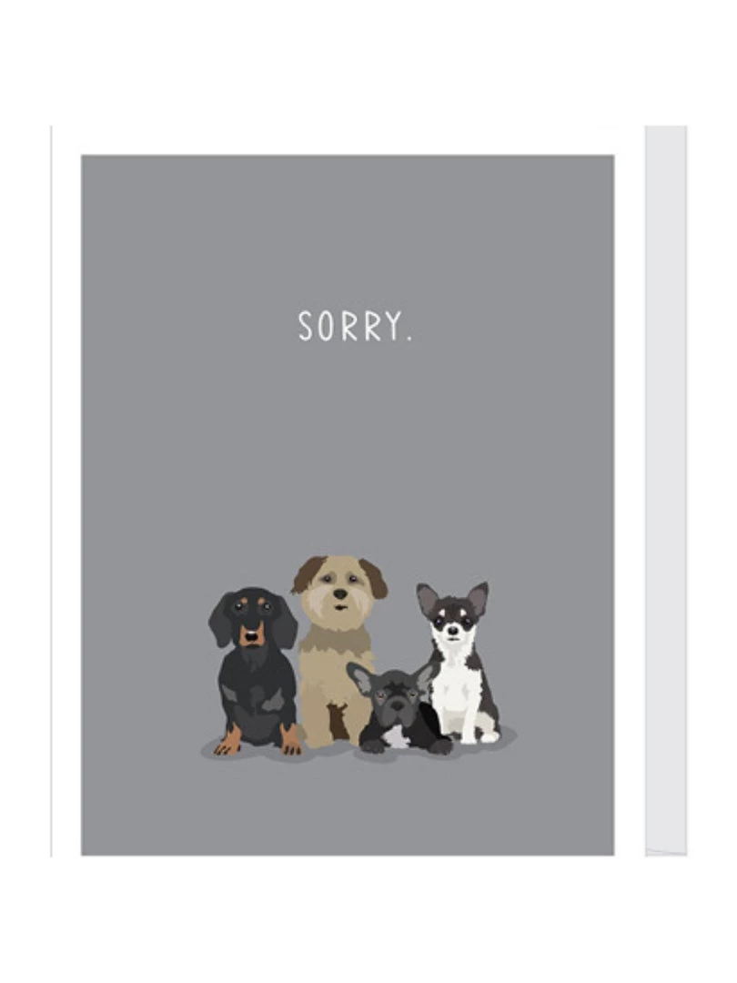 Apartment 2 Cards Sorry Dogs Pet Sympathy Card Home & Gift 3 Apartment 2 Cards Sorry Dogs Pet Sympathy Card Home & Gift
